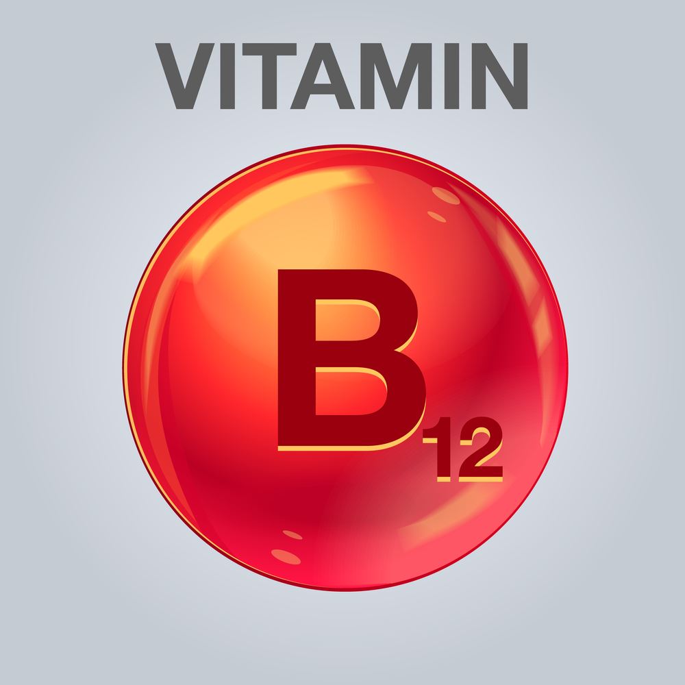 Vitamin B12 Test Medvinlab