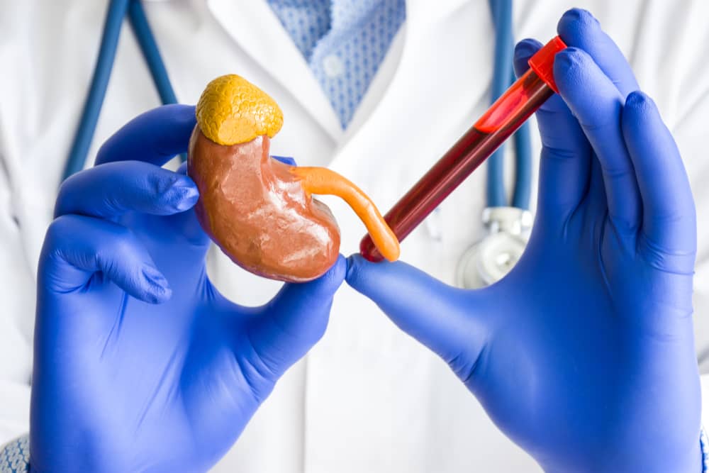 What Does A Renal Profile Blood Test Show